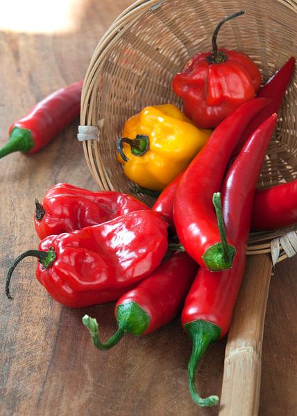 poivrons0276 par Liesbeth Govers voor Santmedia.nl