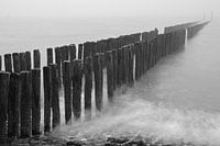 Brouillard sur la côte de Breskens