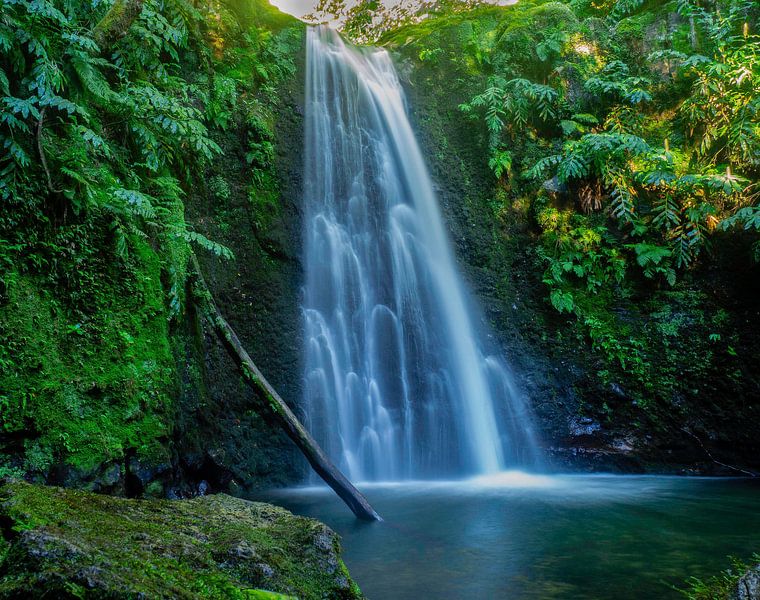 Dschungel Wasserfall von Gideon Gerard