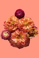 Parfaitement imparfait - avec une touche de saumon