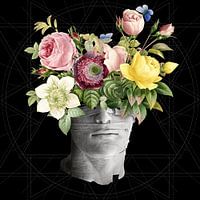 Botanique et Marbre I