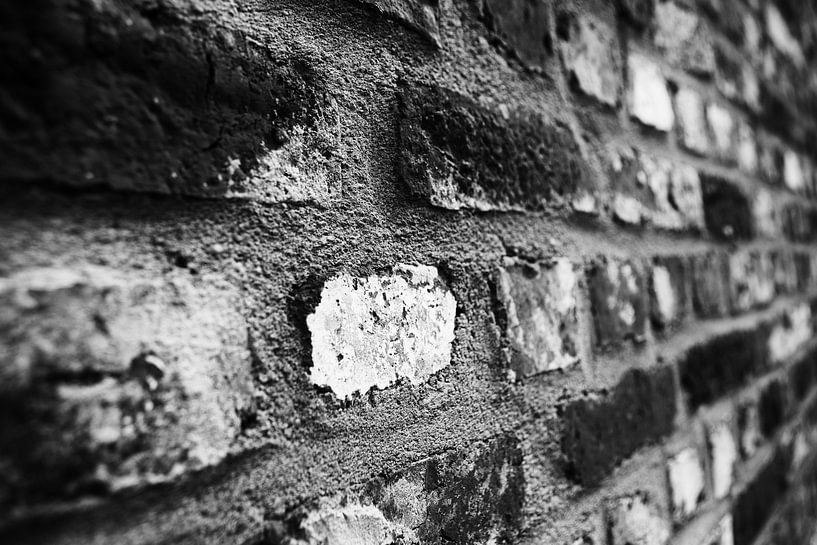 Steen von HANS VAN DAM