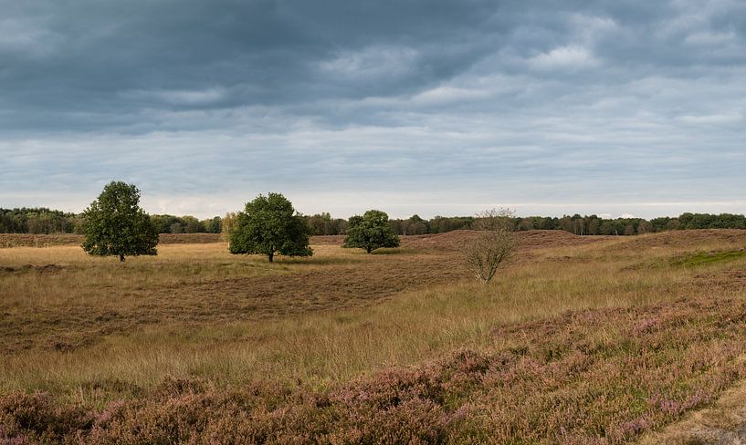 Drenthe Landscape by Paul Oosterlaak