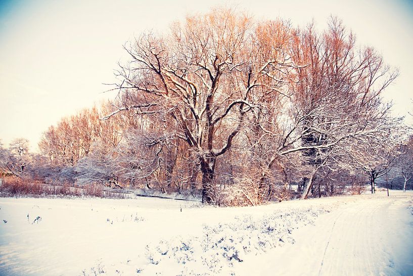 l'hiver à La Haye, le parc de rijswijk par Ariadna de Raadt-Goldberg