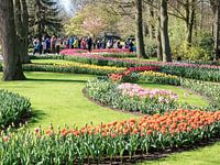 Die Farbenpracht des niederländischen Keukenhofs.