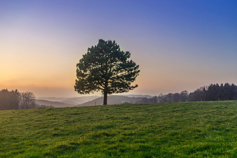 Sonnenuntergang in Eikamp par jah picture