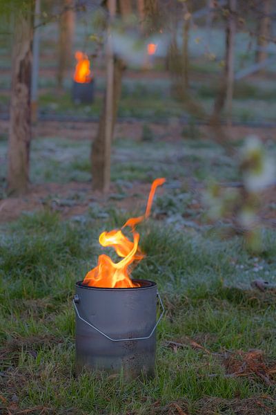 Fire pots cherry orchard by Moetwil en van Dijk - Fotografie