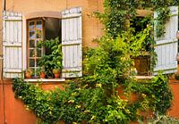 Französische Fassade mit Kletterpflanze und Fensterläden