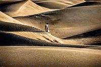 Fresh eggs for breakfast 