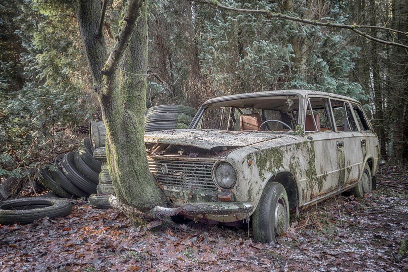 Boom tussen de bumper van de Lada par Manja van der Heijden