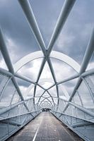 The Green Connection