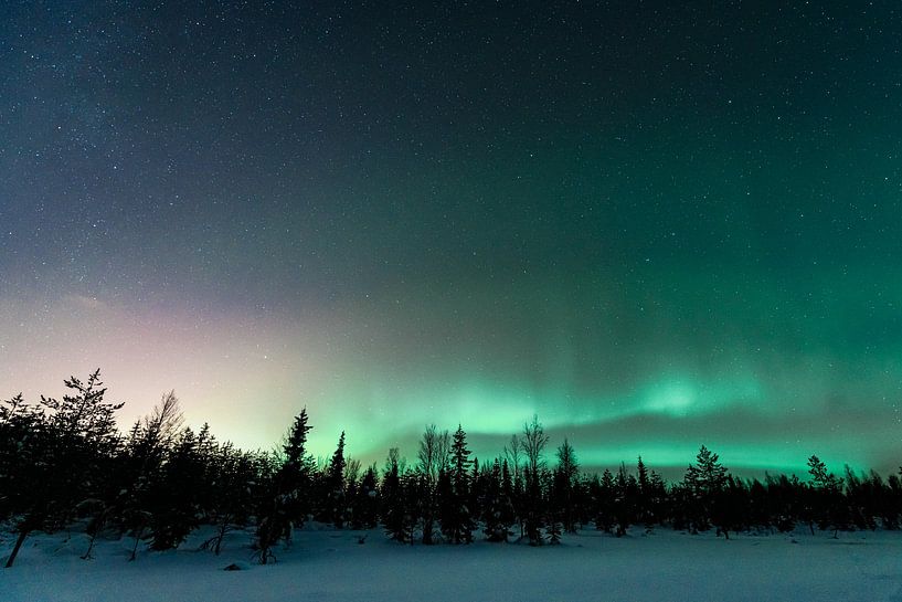 Aurora Borealis von Kimberley Jekel