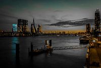 Swan across the New Maas, after blue hour