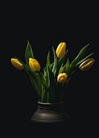 Gelbe Tulpen in Vase
