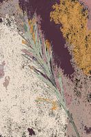 Still life: Cane in colours.