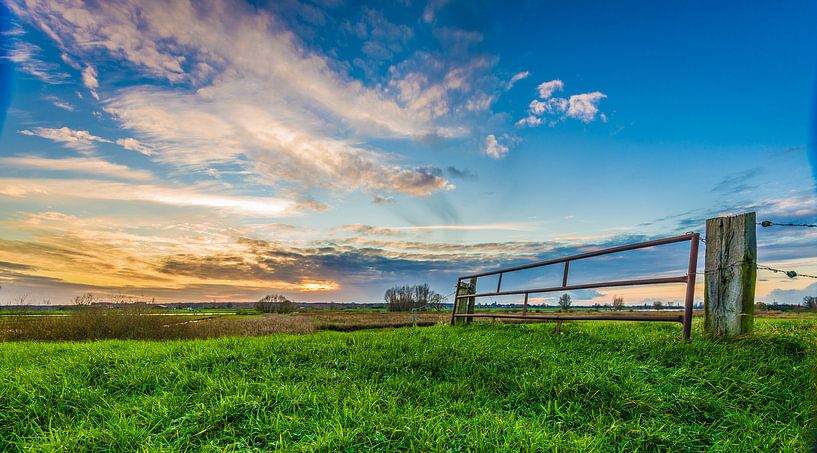 Abendlicht über einer Wiese in den Niederlanden von Michel Knikker