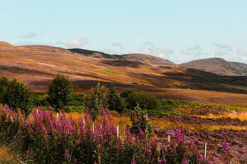 Scotland by Bianca  Hinnen