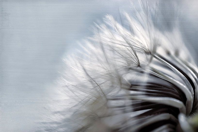 Prêts à l'envol von Martine Affre Eisenlohr