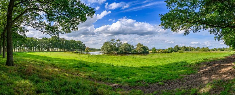 Paysage de la vallée de Vechtdal le long de l'Overijsselse Vecht par Sjoerd van der Wal Photographie