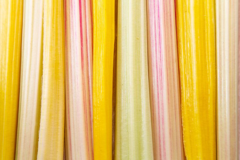 Muster von Königsmangold von Hilda Weges