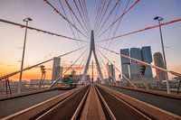 Sonnenaufgang Erasmusbrücke