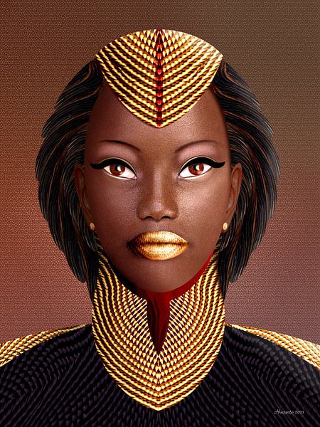 Afrikanische Schönheitskönigin von Ton van Hummel (Alias HUVANTO)