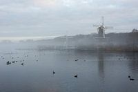 Molens in de mist