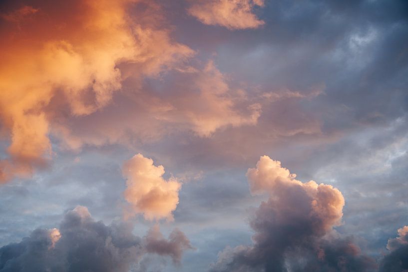 Dramatic sunset during golden hour above the Flevoland polder | Fine Art Nature photography in and a by Evelien Lodewijks
