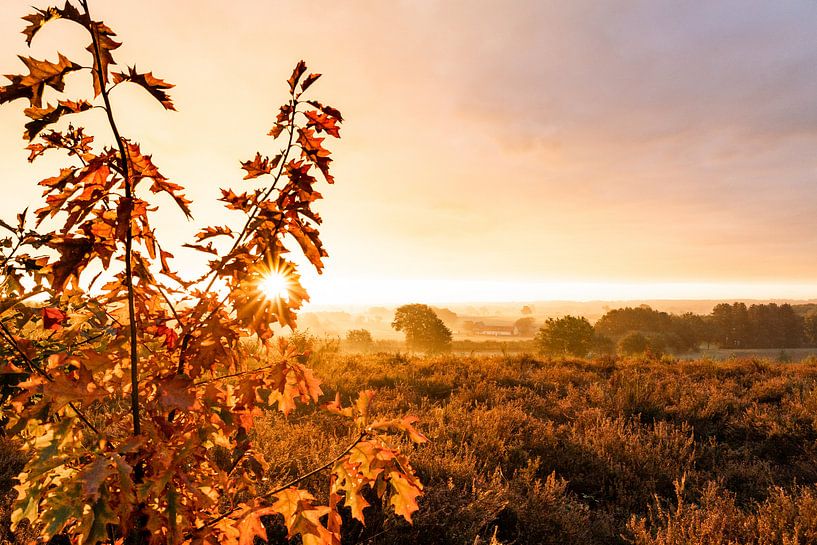 Sonnenaufgang auf dem Berg Venus von Stories by light