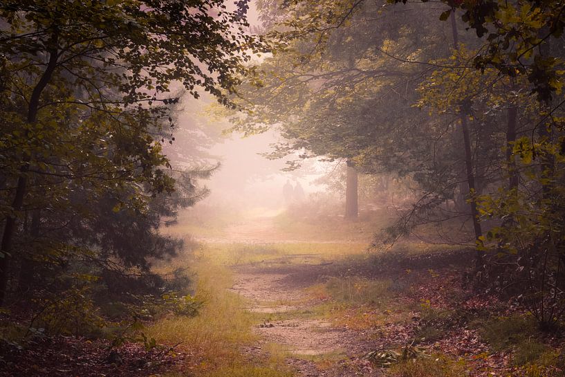 Humeur d'automne par Arnoud van de Weerd