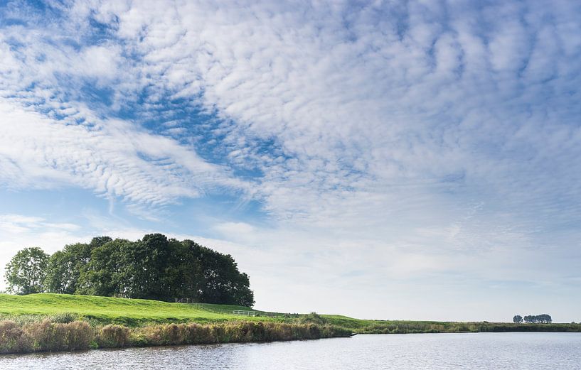 Reitdiep van Arthur de Groot