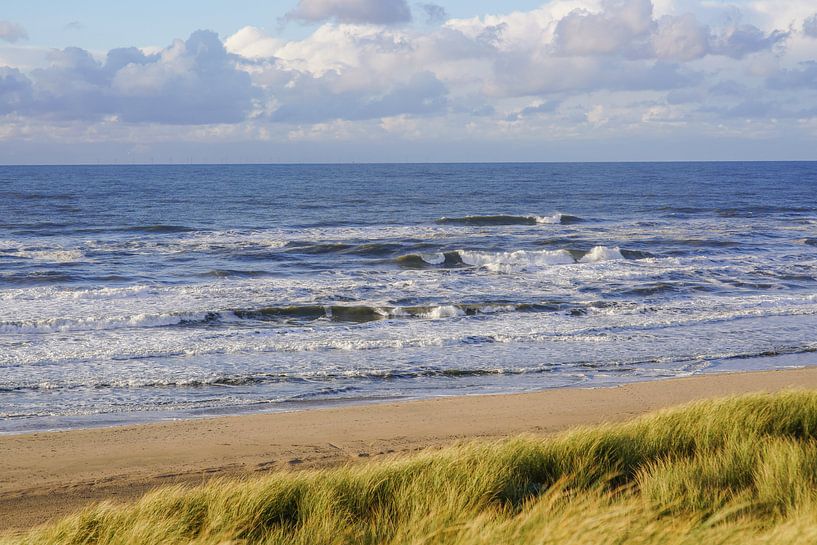 Strandleven! van Dirk van Egmond