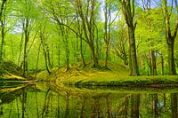 Domaine rural d'Elswout