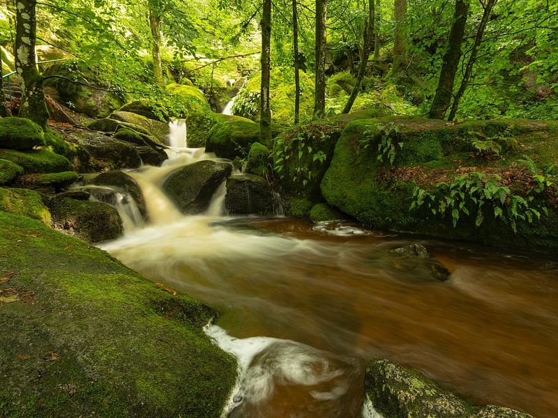 Ein kleiner Wasserfall im Schwarzwald von Anselm Ziegler Photography