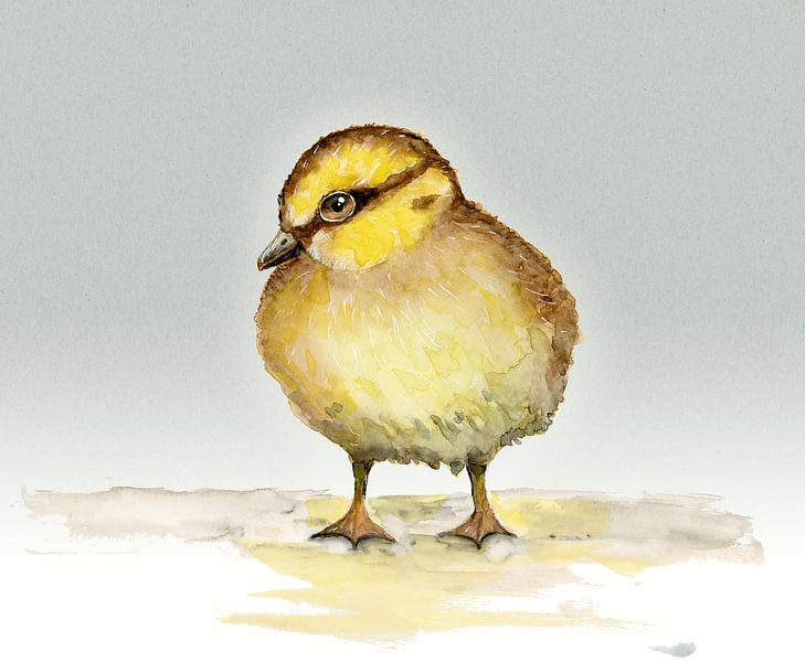 Niedliches Entenküken Aquarell von Bianca Wisseloo