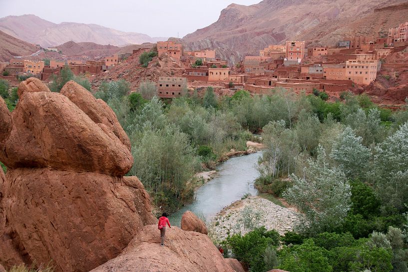 Mountains and Trees in Date Valley in Morocco by The Book of Wandering