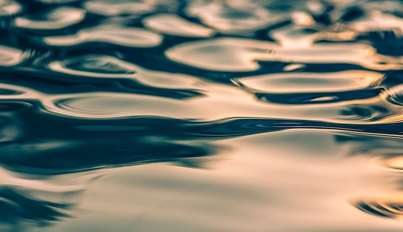 refections by tim eshuis