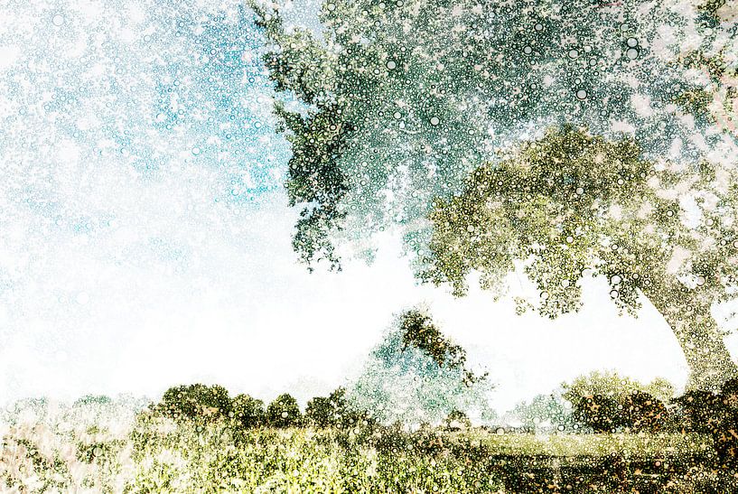 Niederländische Landschaft Noord-Brabant, die Niederlande von Peter Baak