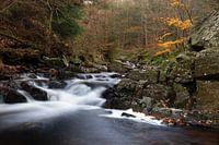 L'automne dans la vallée de la Hoëgne