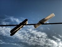 knijpers aan de lijn