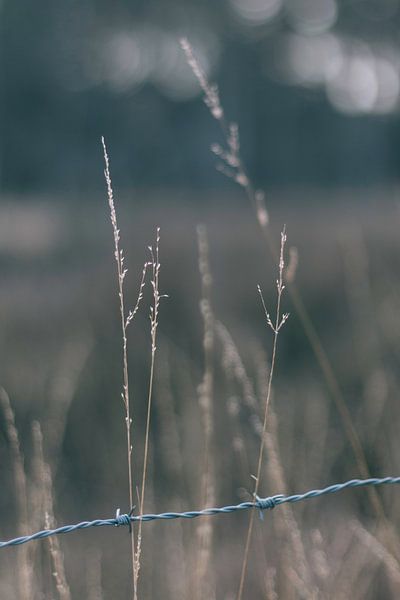 Feinfühlige Klingen. von Simon Peeters