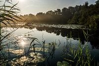 Zonsopkomst Naardermeer