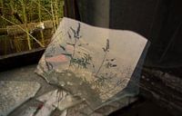 Mirroring Grass in Broken Glass