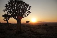 Sonnenuntergang in der Wüste, Namibia, Afrika