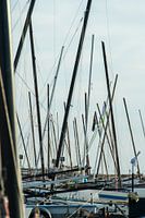 Masts of Catamarans round Texel