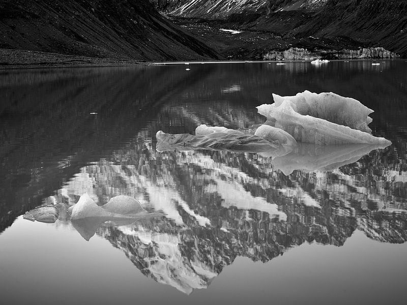 Hooker Lake Eisberge von Keith Wilson Photography