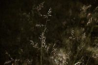 Sprites in a grass field in oil paint