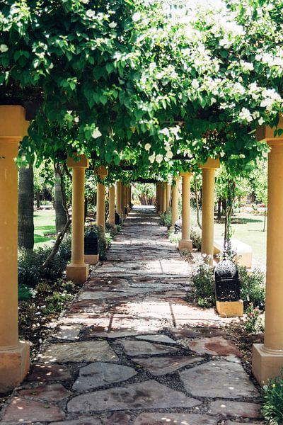 Summer Pillars by Patrycja Polechonska