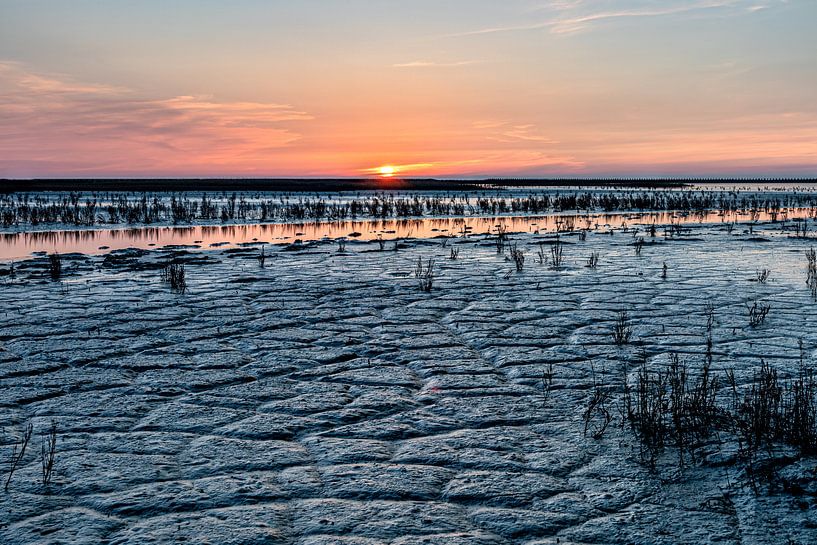 Les vasières par Johan Mooibroek