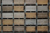 Appelkisten keurig opgestapeld